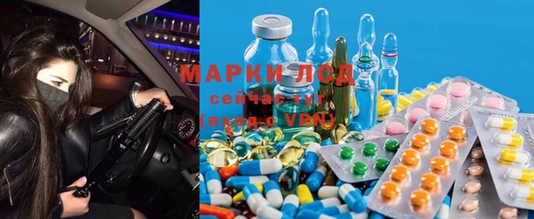 гидра Алексин
