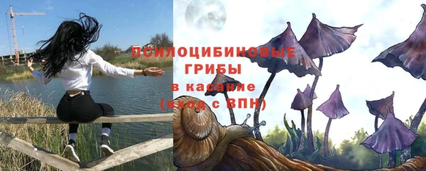 кокс Алзамай