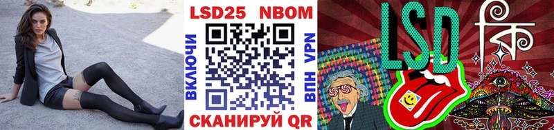 omg как войти  Анапа  Марки NBOMe 1500мкг  darknet состав  цена наркотик 